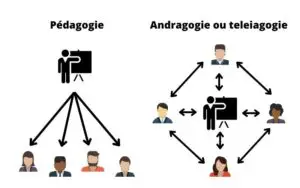 Qu&rsquo;est-ce que l&rsquo;andragogie et pourquoi c&rsquo;est plus efficace en formation professionnelle ?